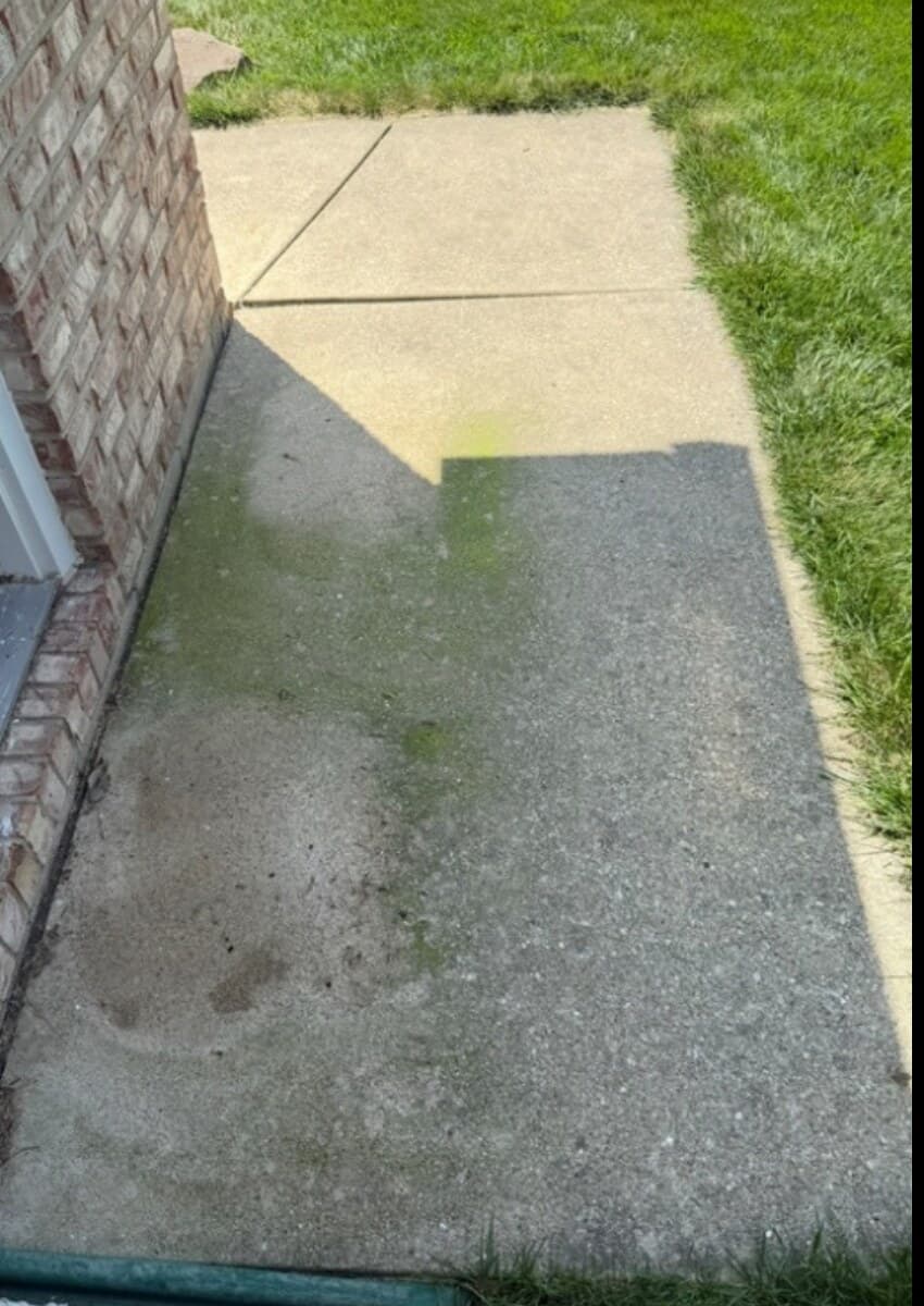 Concrete sidewalk before cleaning, covered with algae and stains